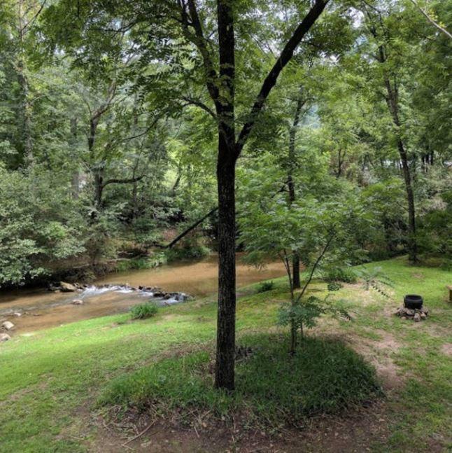 Reedy Patch Cabin Villa Hendersonville Ngoại thất bức ảnh