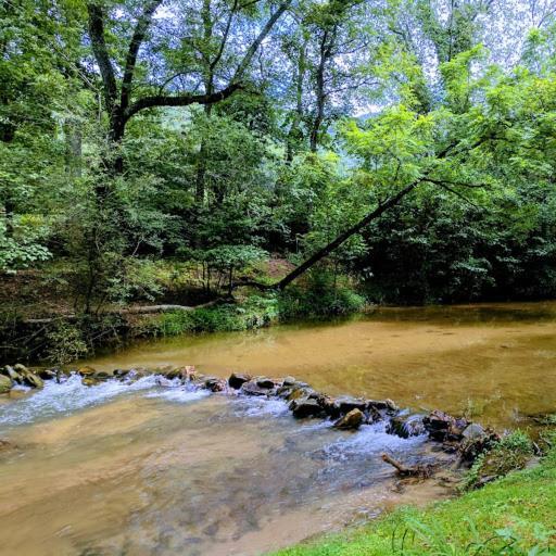 Reedy Patch Cabin Villa Hendersonville Ngoại thất bức ảnh