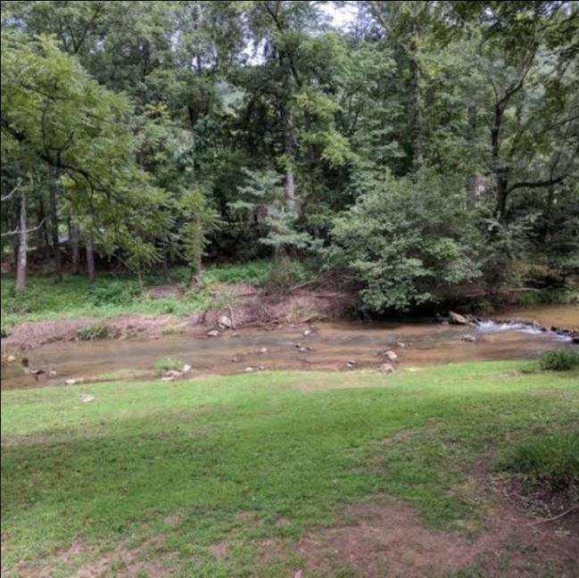 Reedy Patch Cabin Villa Hendersonville Ngoại thất bức ảnh
